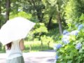 レディース傘おすすめプレゼント【女性用大人かわいいおしゃれなデザイン】